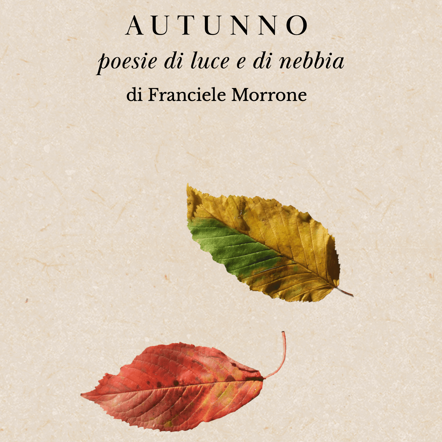 Autunno – poesie di luce e di nebbia